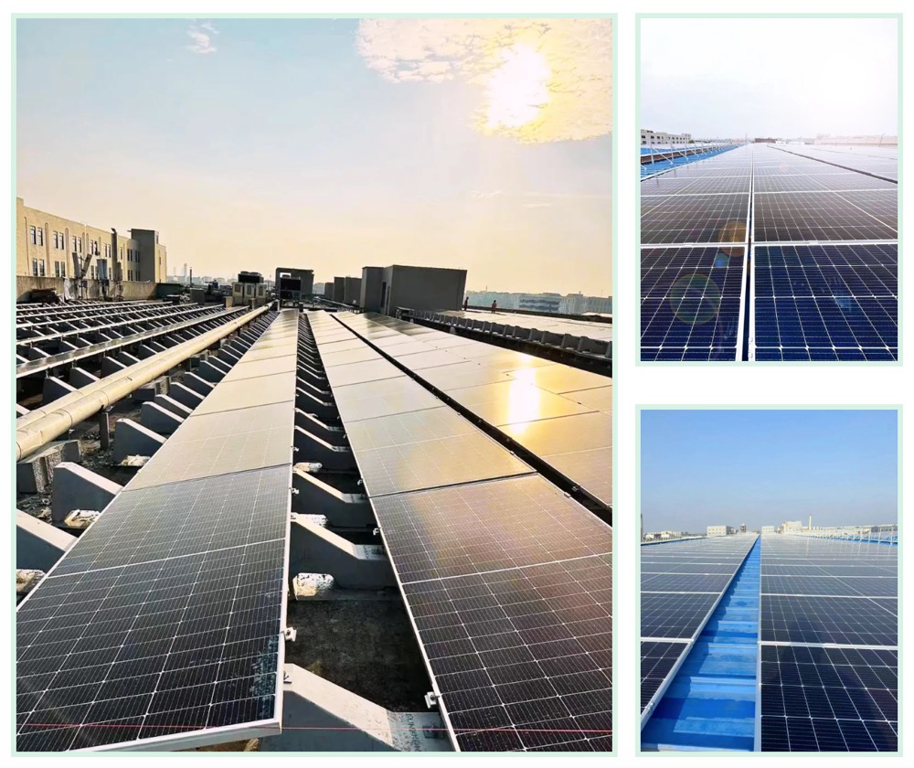 凯时|AG(Asia Gaming)优质运营商